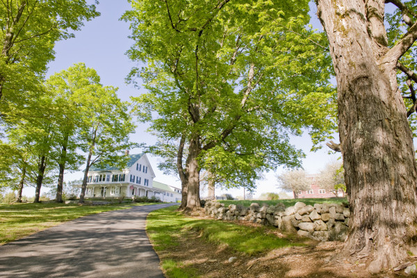 Maple Rock Farm