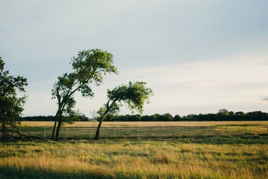 Vintage Oaks Ranch