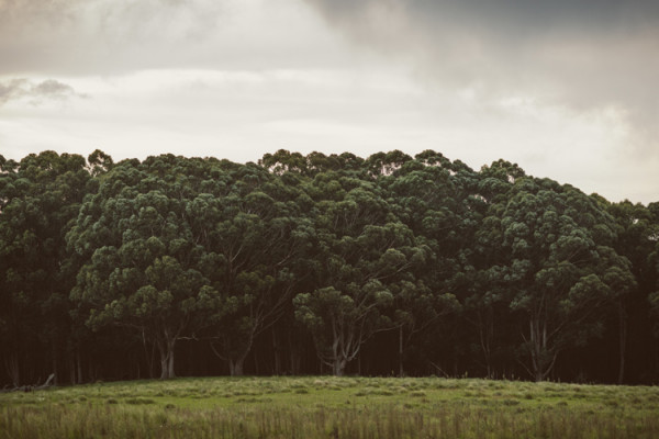 Spicers Peak Lodge