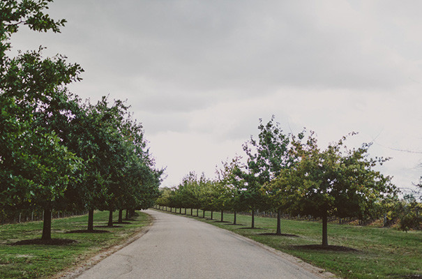 Stones of the Yarra Valley