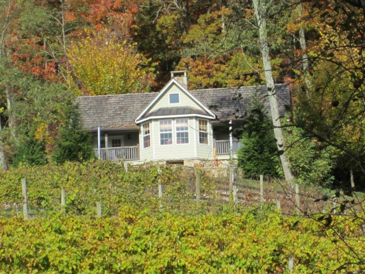 The Vineyard at High Holly