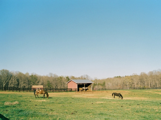 Wolftrap Farm