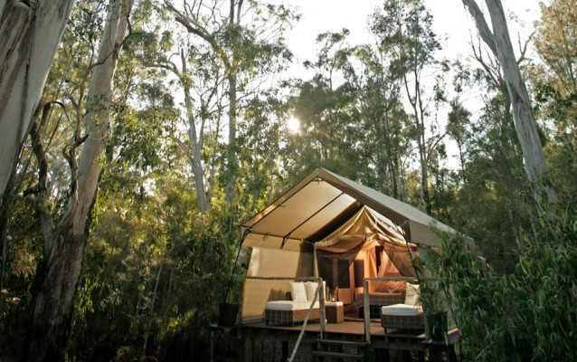 Paperbark Camp