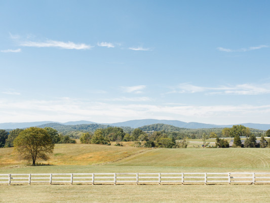 Verulam Farm