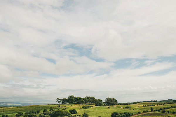 Coriole Vineyards