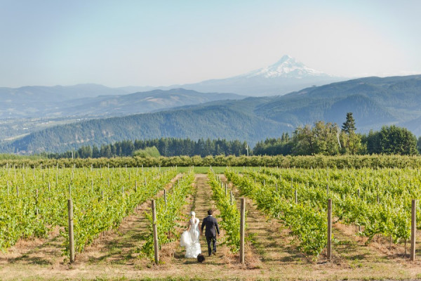 Gorge Crest Vineyards