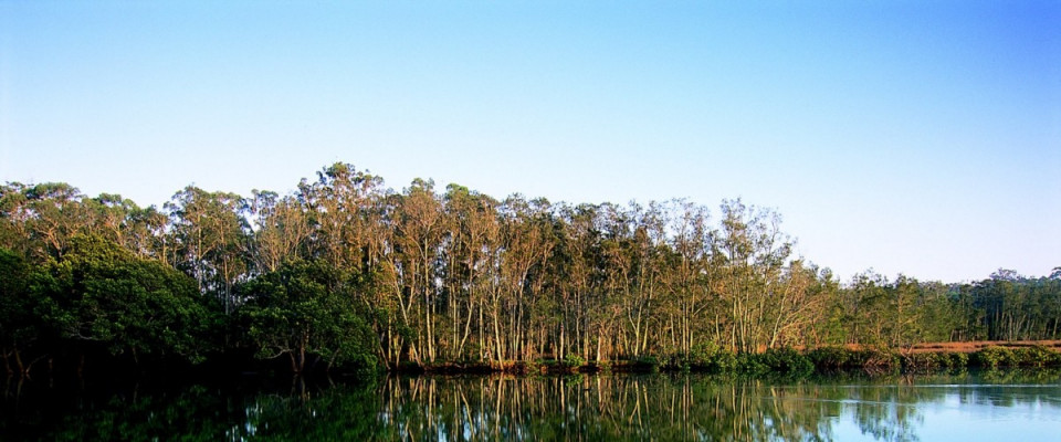 Paperbark Camp