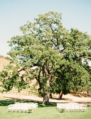 Triunfo Creek Vineyards