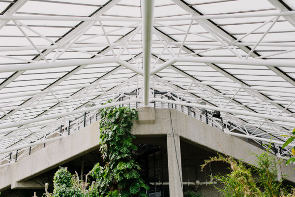 Barbican Conservatory