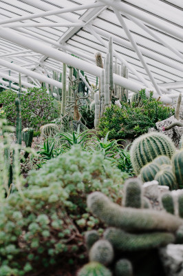 Barbican Conservatory