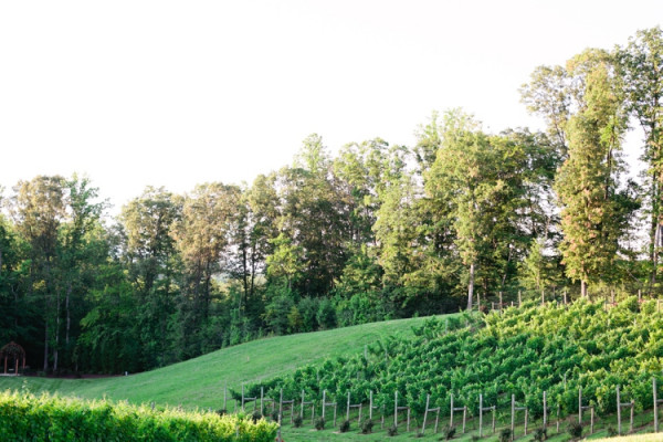 Potomac Point Winery & Vineyard