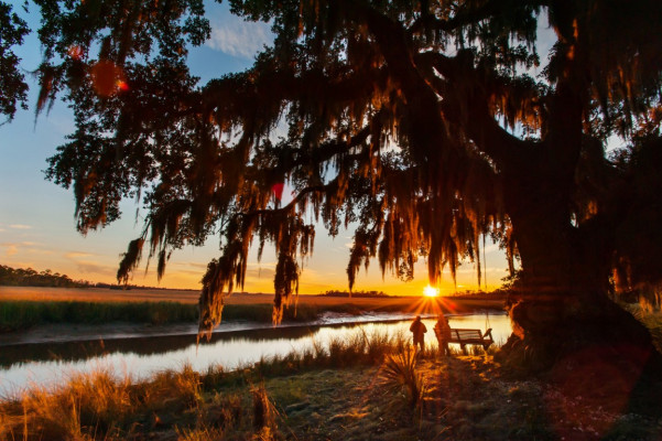 The Lodge on Little St. Simons Island