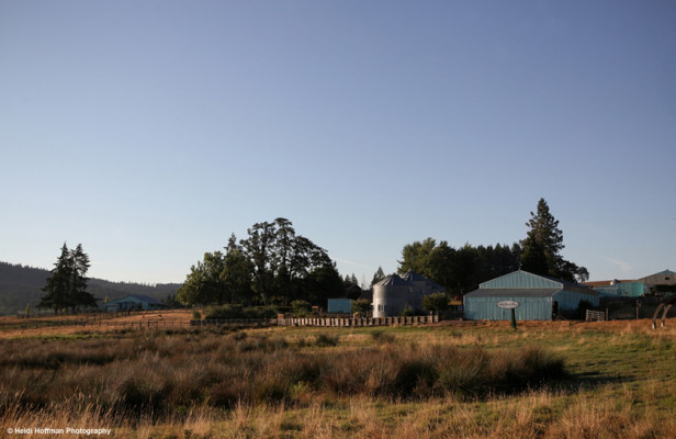 Abbey Road Farm Bed & Breakfast