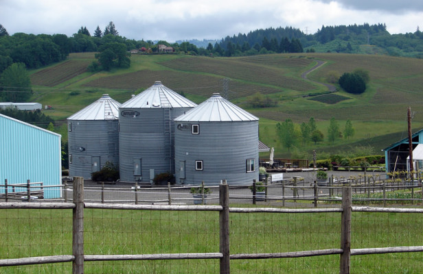 Abbey Road Farm Bed & Breakfast