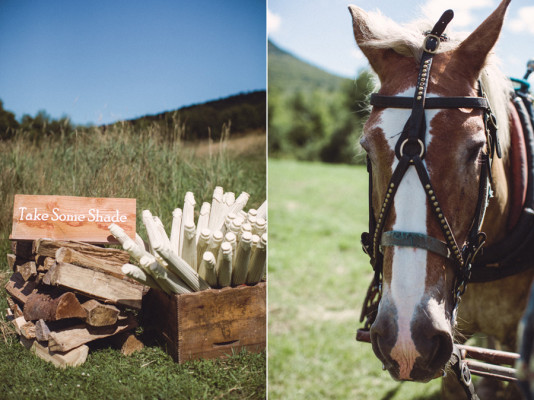 Bliss Ridge Farm