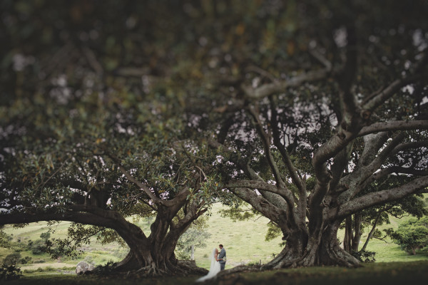 Bush Bank Weddings