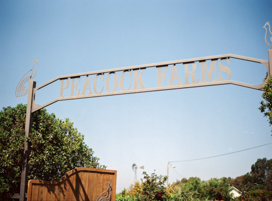 The Gardens at Peacock Farms