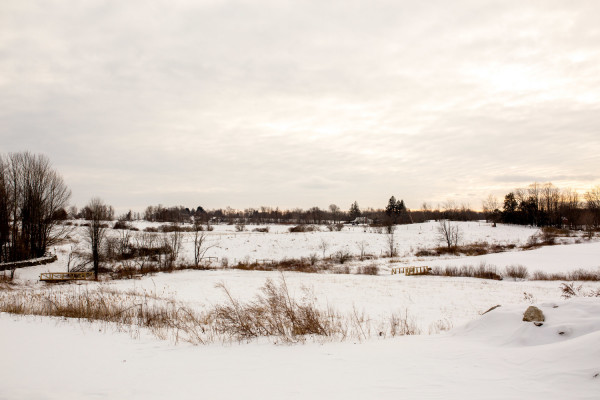 The White Barn @ South Farms