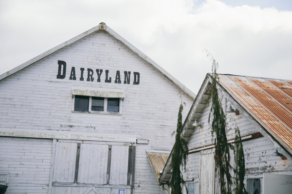 Dairyland