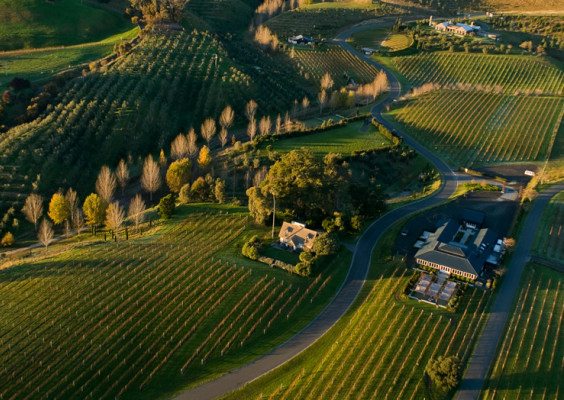 Black Barn Vineyards