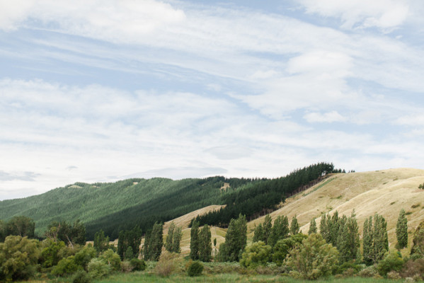 Black Barn Vineyards