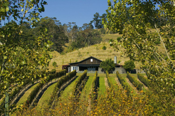 Black Barn Vineyards