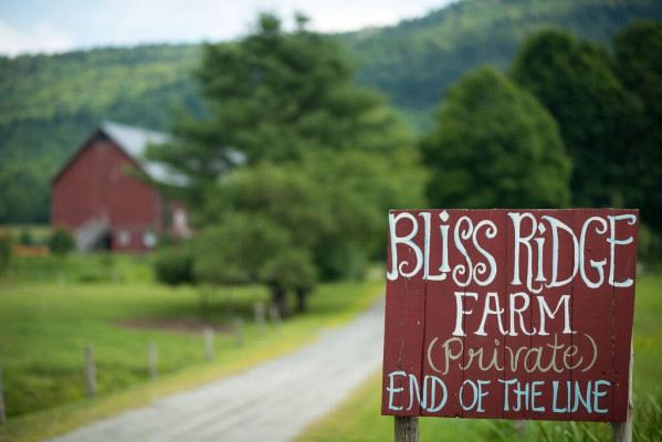 Bliss Ridge Farm