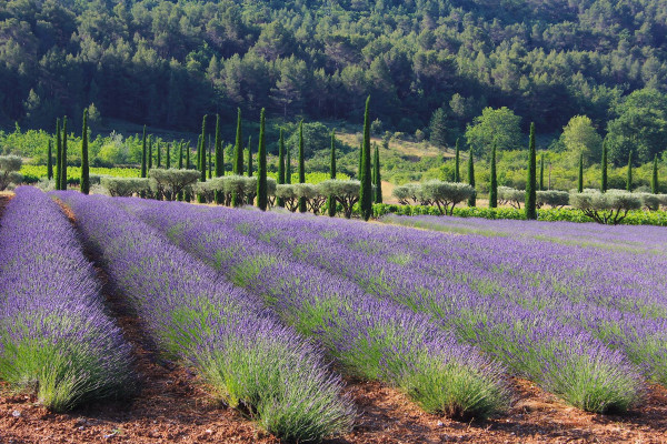 Domaine des Andéols