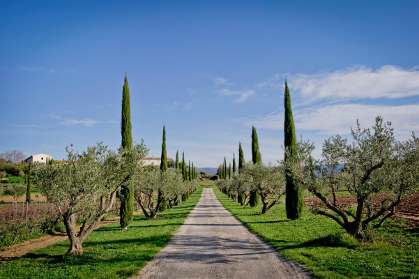 Domaine des Andéols