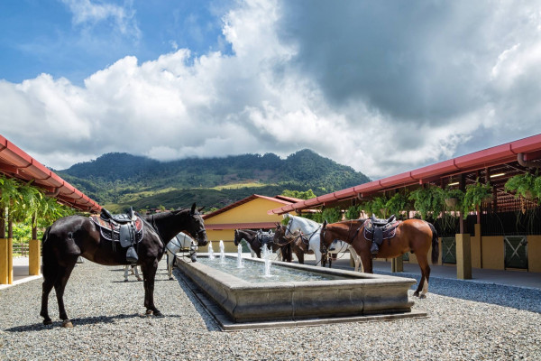 Hacienda AltaGracia