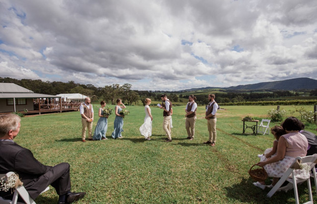 Hanging Tree Wines