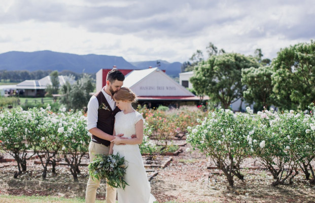 Hanging Tree Wines