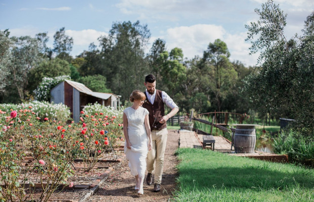 Hanging Tree Wines