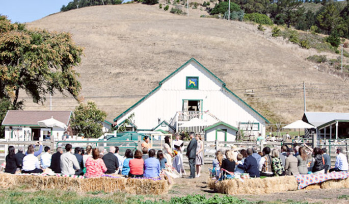 Harley Farms Goat Dairy