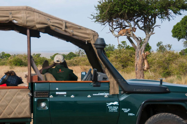 Kilima Camp Masai Mara