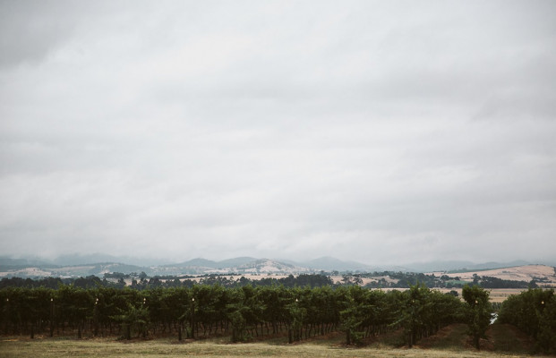 Stones of the Yarra Valley