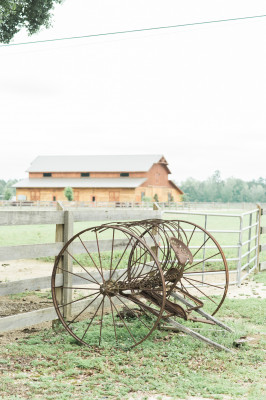 The Berry Barn