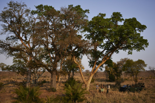 Singita Castleton