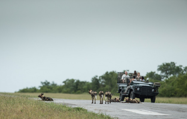 Singita Ebony Lodge