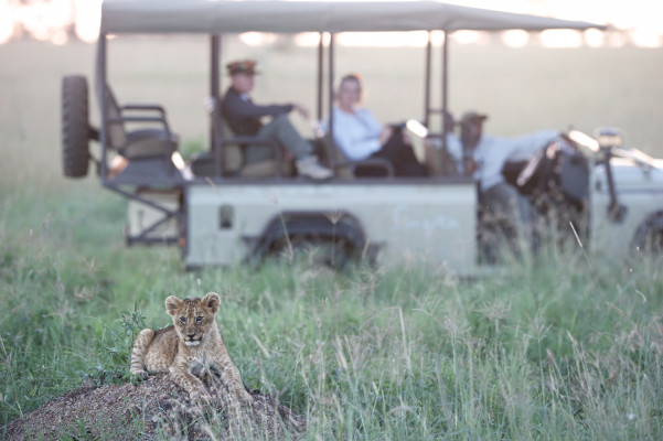 Singita Sasakwa Lodge