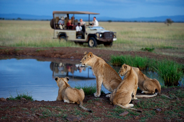 Singita Serengeti House