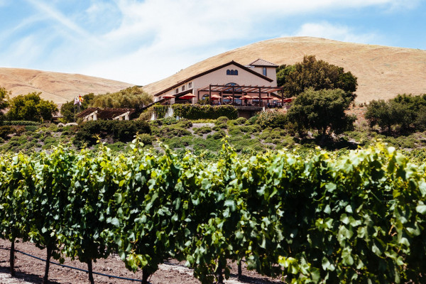 Gloria Ferrer Caves & Vineyards