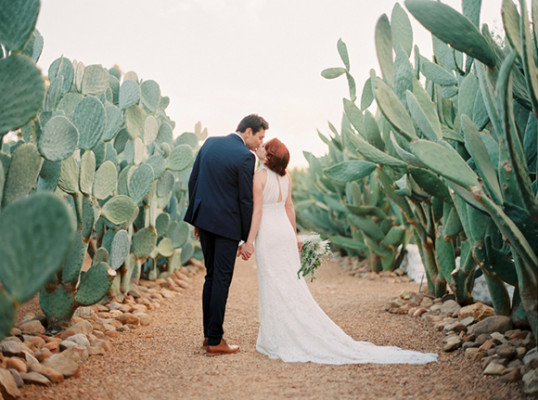 Babylonstoren