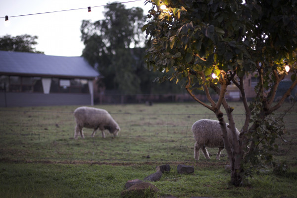 The Farm Cafe