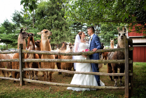 WoodsEdge Farm Weddings & Events