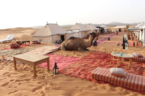 Desert Luxury Camp