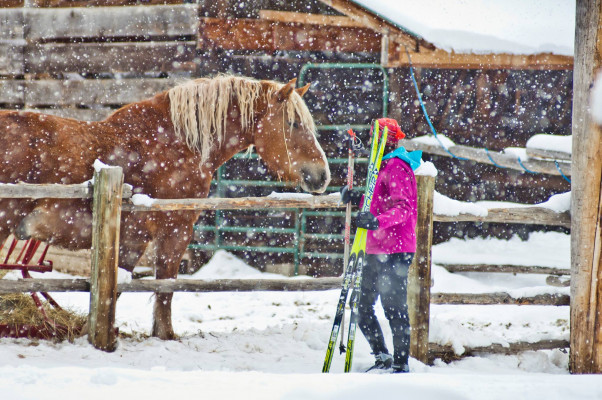 Lone Mountain Ranch