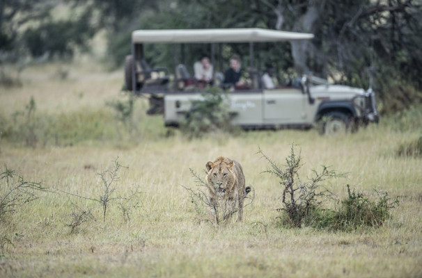 Singita Faru Faru Lodge