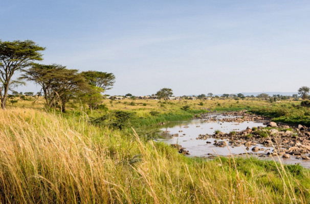 Singita Mara River Tented Camp