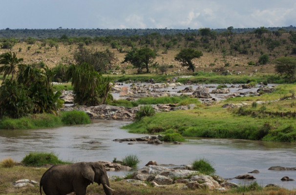 Singita Mara River Tented Camp